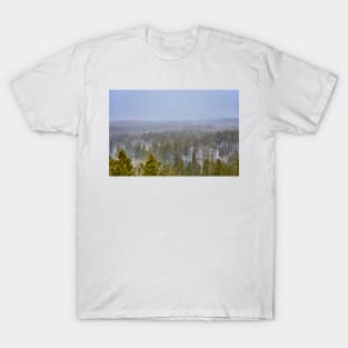 Peak to Peak Highway Snowstorm Study 1 T-Shirt